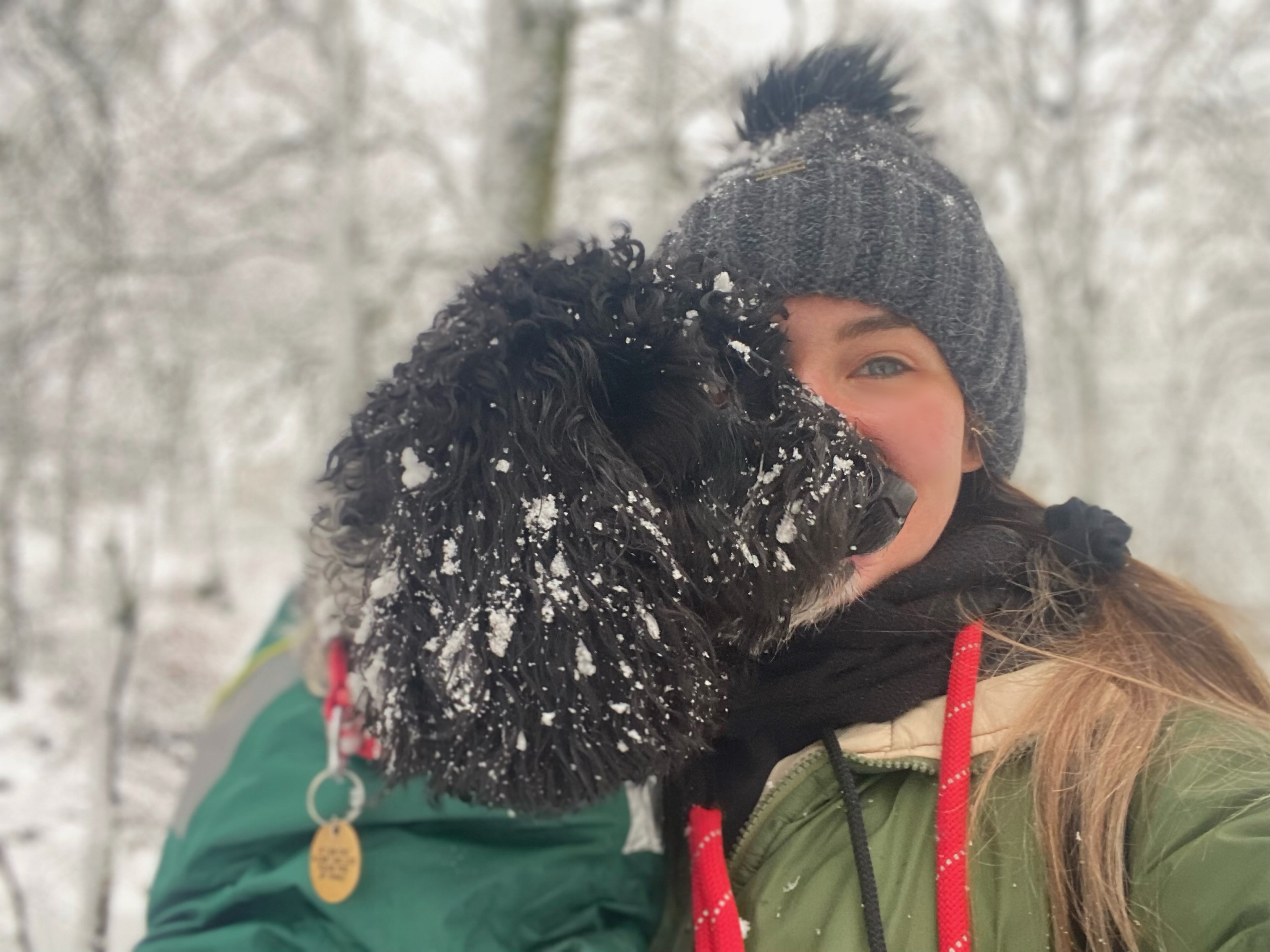 Playful pup exploring