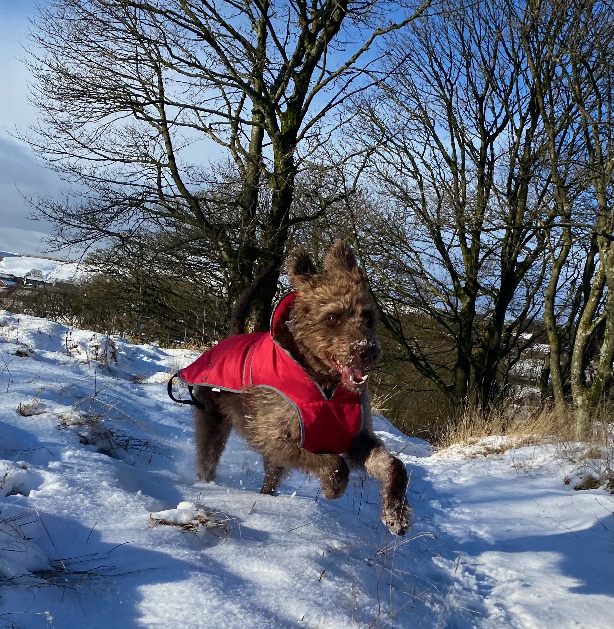 Muddy buddy outdoors