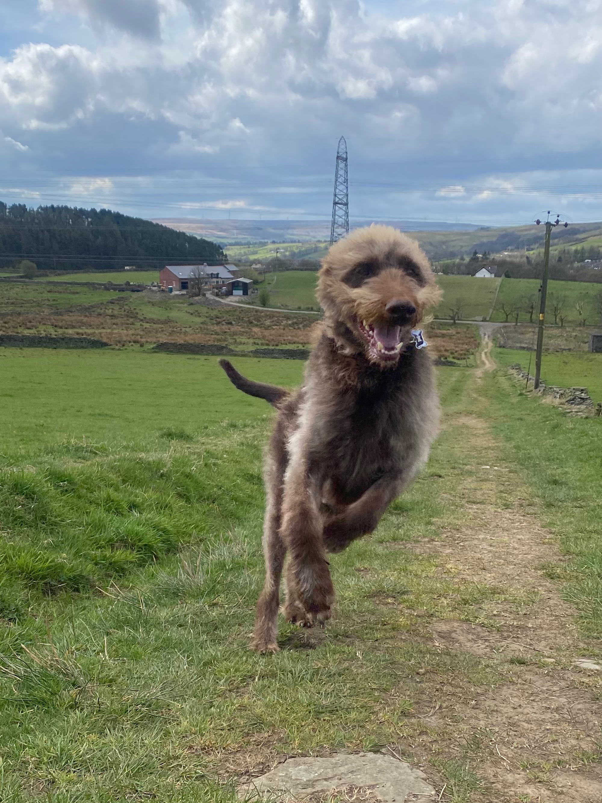 Muddy buddy on adventure